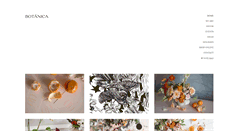 Desktop Screenshot of botanicatallerorganico.com